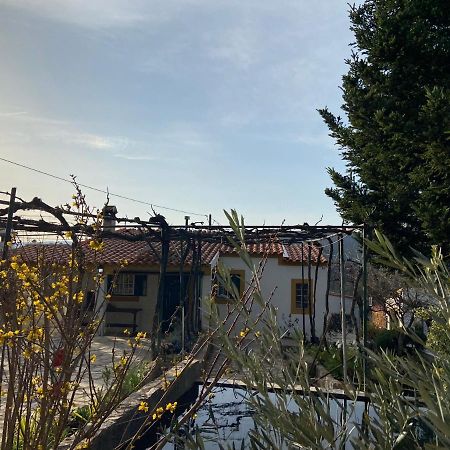 Casas De Campo Em Cerejal Vila Fundão Exterior foto